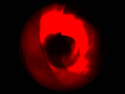 AlphaProspectorEye-f